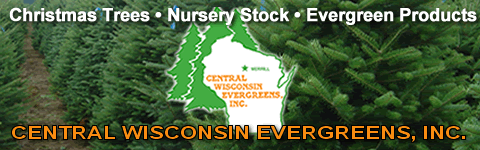 Christmas Trees/Nursery Stock/Evergreen Products Central Wisconsin Evergreens